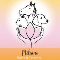 Mélaine - Le soin a l'animal